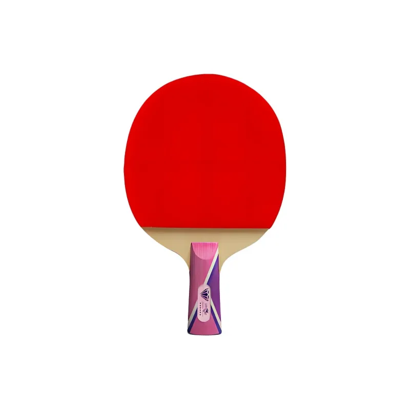 DOUBLE FISH Ping Pong Paddles-0