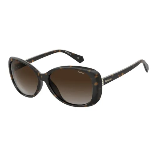 item Plastic Cat Eye Sunglasses Women's Tortoiseshell