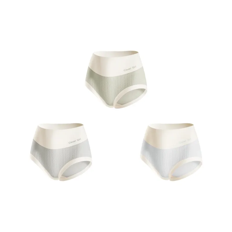SALOATO Underpants Women's Combo Set-7
