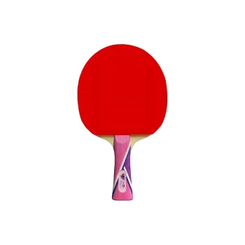 DOUBLE FISH Ping Pong Paddles