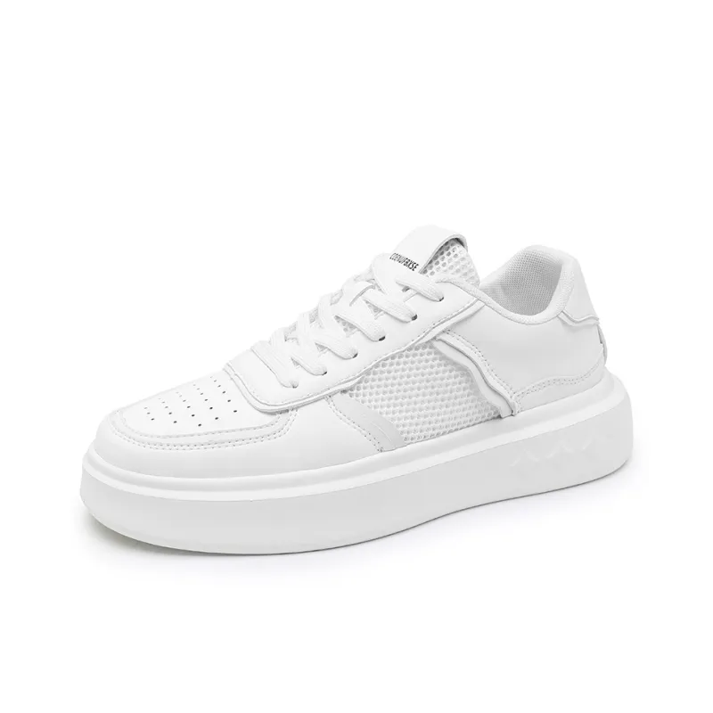 Boogie Bear Skateboard Shoes Men's-2