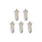 5-Pack (Ecru 5)