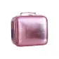 Rose Pink with Strap Mirror Case Approved for Luggage Top