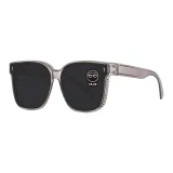 Transparent Gray Lens (Standard)