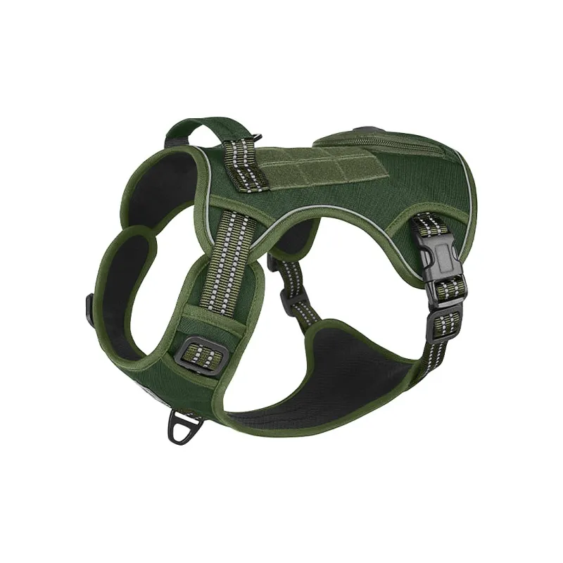 REnextop Leashes-5