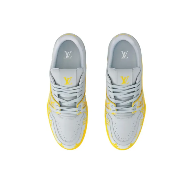 LOUIS VUITTON Trainer Low Top Skateboard Shoes Men's Gray-3