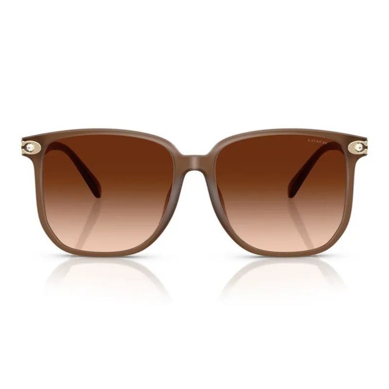 COACH Injection Molded Square Sunglasses Unisex-1