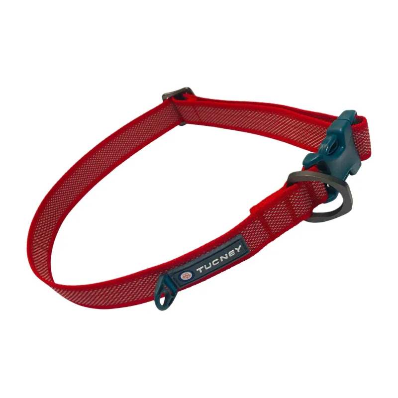 TUCNEY Toyota Tundra Dog Collar Puppy Collar For Small & Large Dogs, Training Collar For Dogs-3