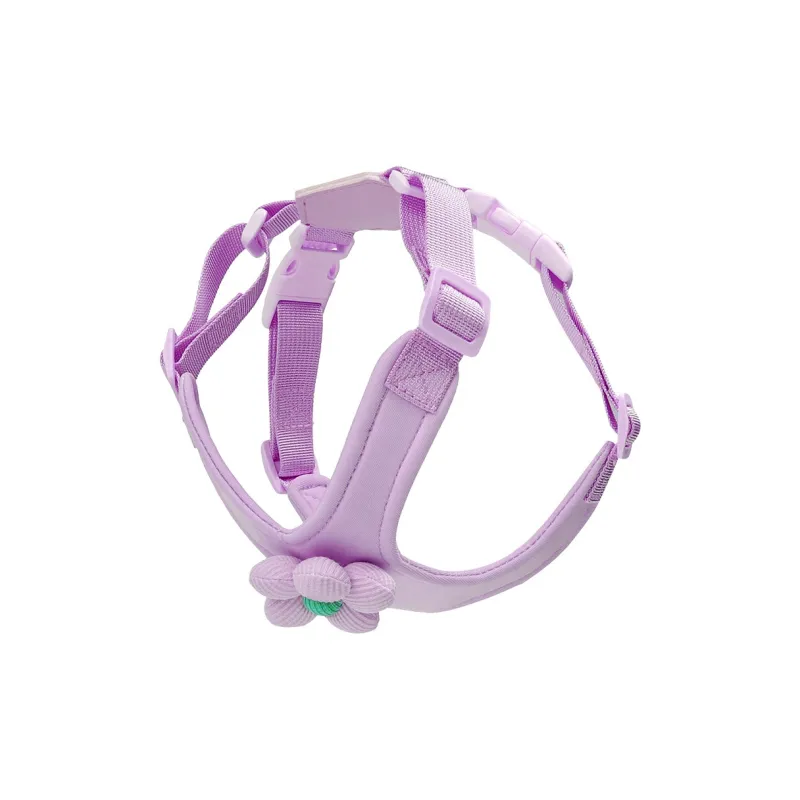 REnextop Leashes-4