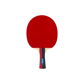 730 Ping Pong Paddles