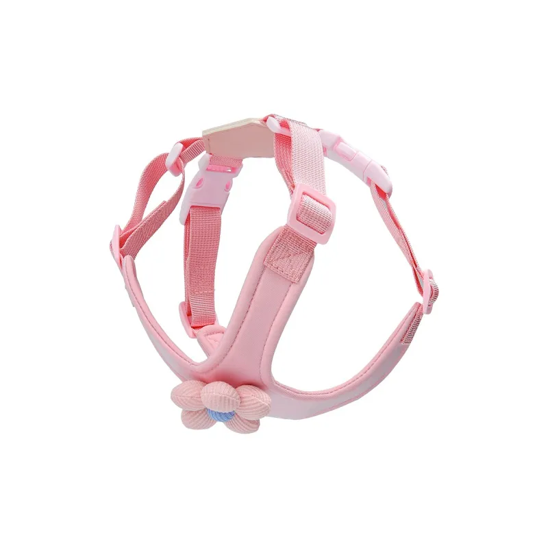 REnextop Leashes-2
