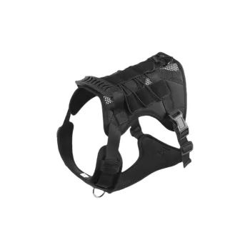 REnextop Leashes