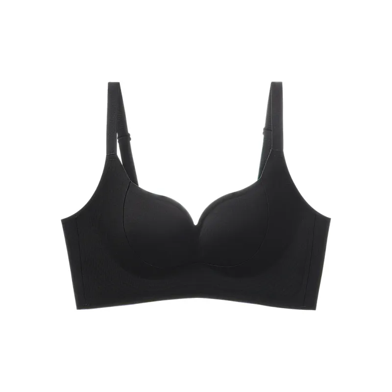 David Women's Bras-17