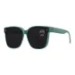 Green frame gray flakes (polarizers)
