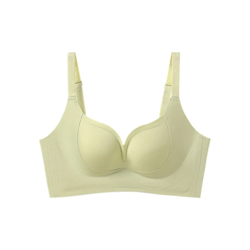 David Women's Bras-13