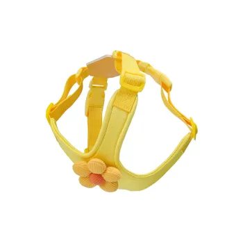 REnextop Leashes