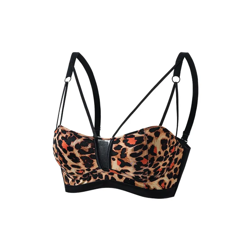 David Women's Bras-23
