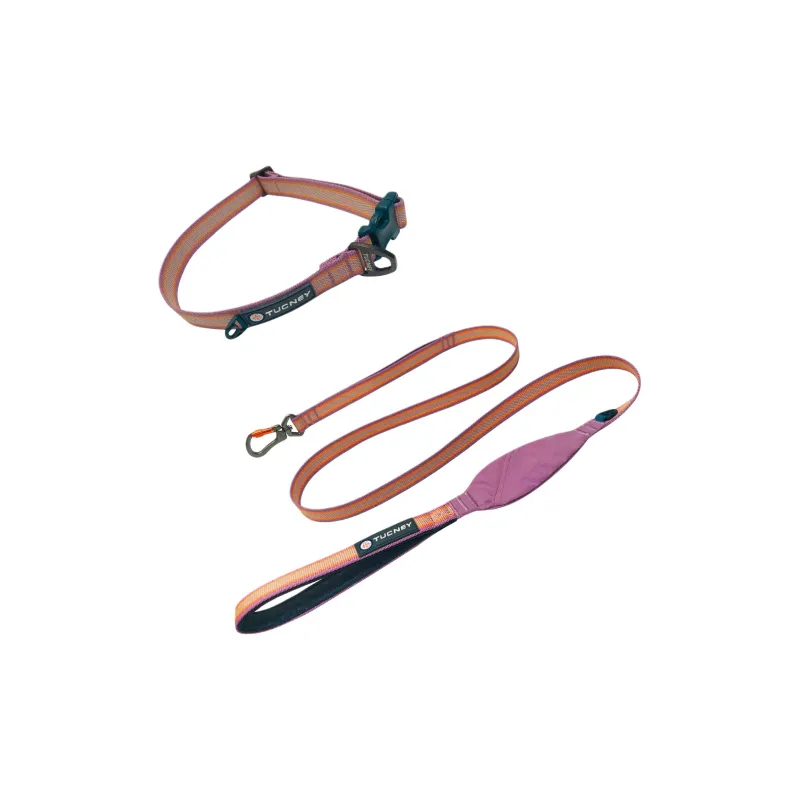 TUCNEY Tuhuan Set Dog Leash Training Rope Puppy Collar Dog Neck Float Ring Training Dog Collar-17