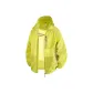 Evening Primrose Yellow