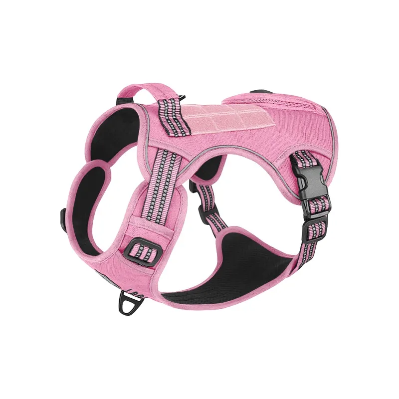 REnextop Leashes-6