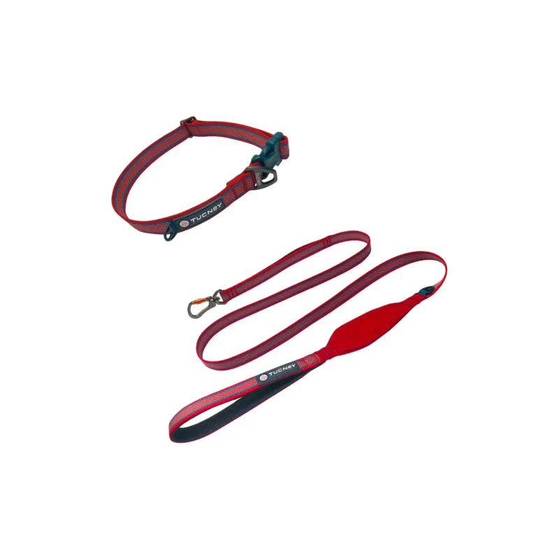 TUCNEY Tuhuan Set Dog Leash Training Rope Puppy Collar Dog Neck Float Ring Training Dog Collar-5