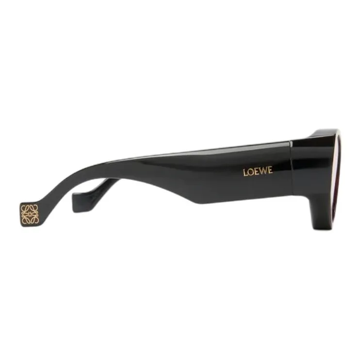 LOEWE Injection Molded Nylon+Metal Cat Eye Sunglasses Women's Black-2