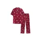 Bordeaux Red with Kitten Print