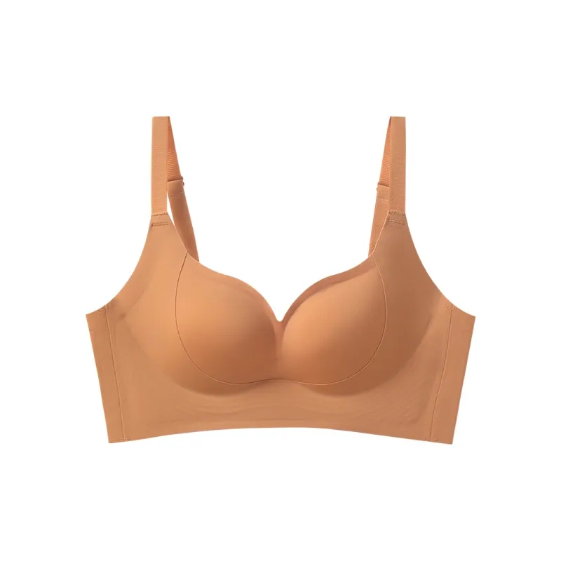 David Women's Bras-8