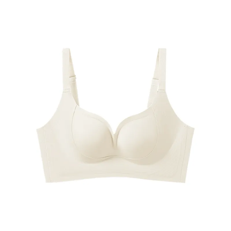 David Women's Bras-0