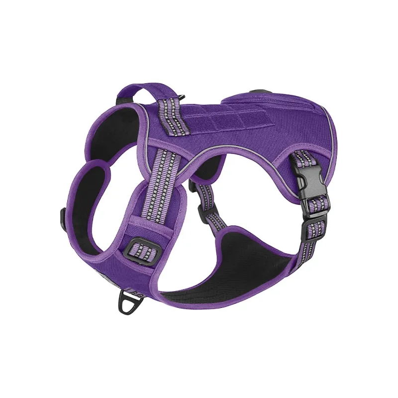 REnextop Leashes-7