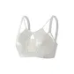 Gardenia White