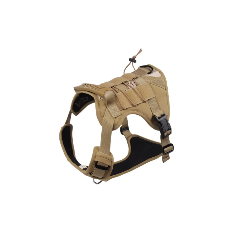 REnextop Leashes-1
