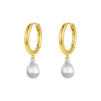 QIDUYINSHI S925 Silver Earrings Women's