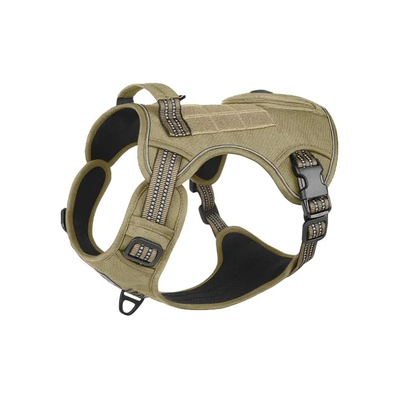 REnextop Leashes-2