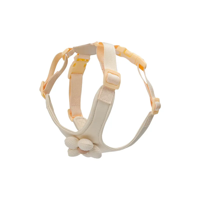 REnextop Leashes-6