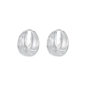 QIDUYINSHI S925 Silver Earrings Women's