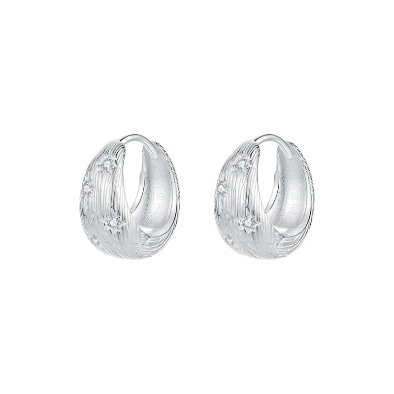 QIDUYINSHI S925 Silver Earrings Women's-0