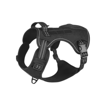 REnextop Leashes