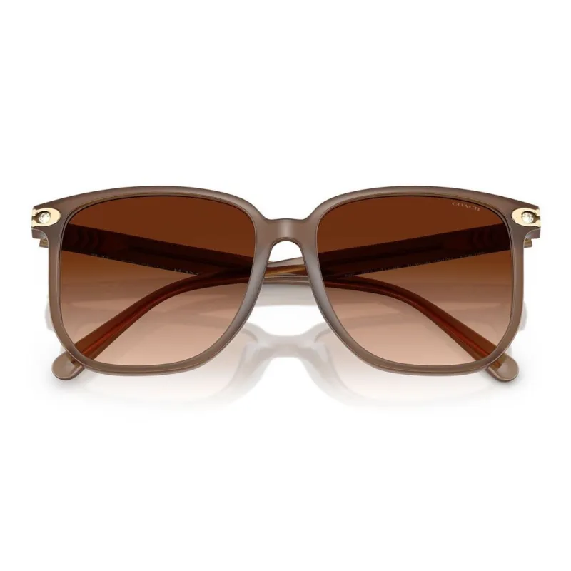 COACH Injection Molded Square Sunglasses Unisex-2
