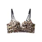 Leopard Print