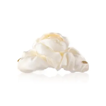 HANYUDIE Acrylic Hair Clips Women's