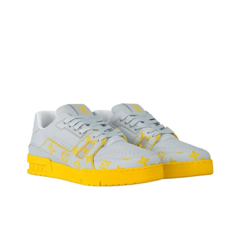 LOUIS VUITTON Trainer Low Top Skateboard Shoes Men's Gray-2