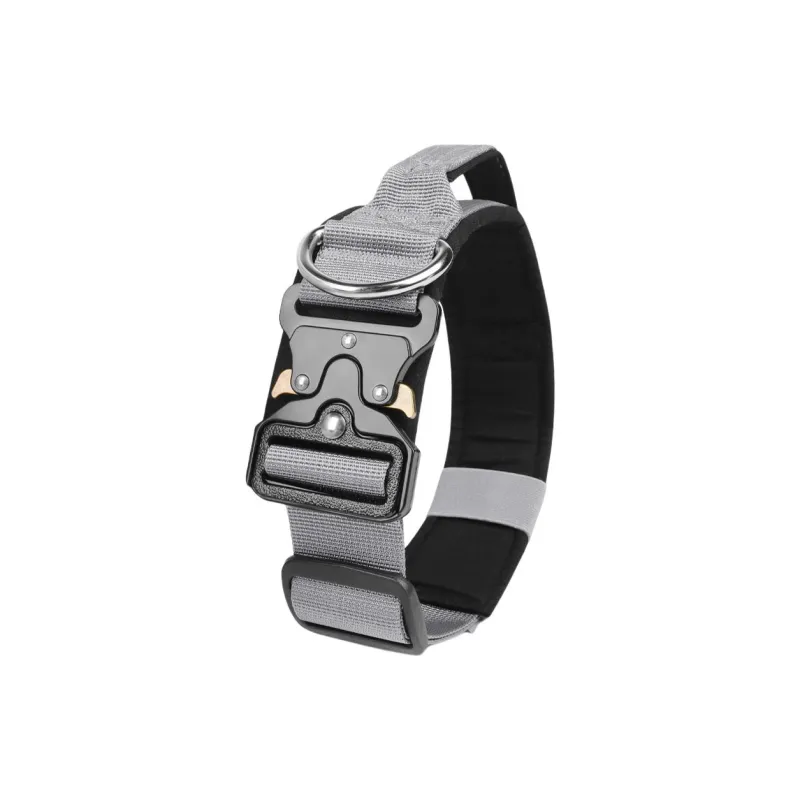 REnextop Dog / Cat Collars-0