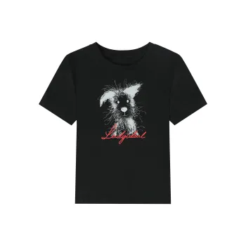 LADY IDEAL Regular T Shirt Women's Short Sleeved