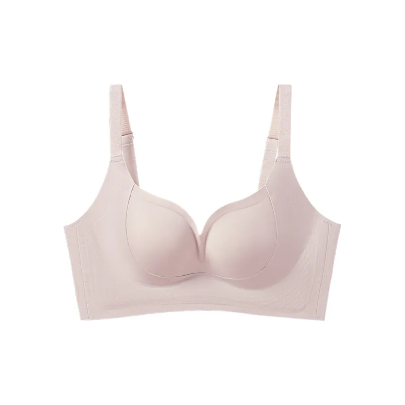 David Women's Bras-4