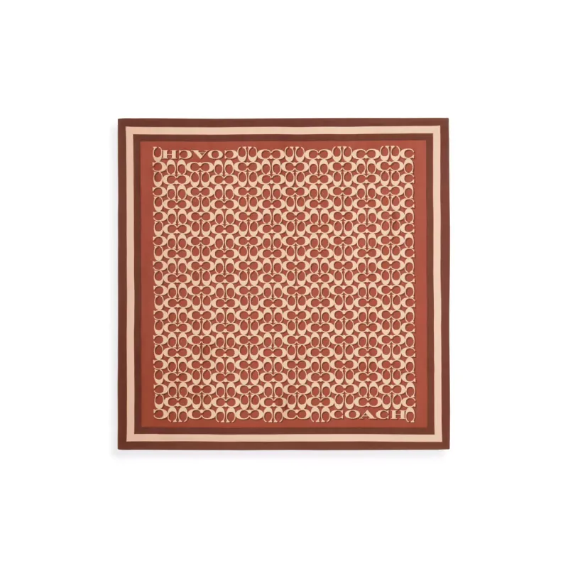 COACH Silk Scarves Women's Brown-0
