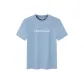 Mist Blue