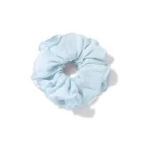 Blue-Hair Tie