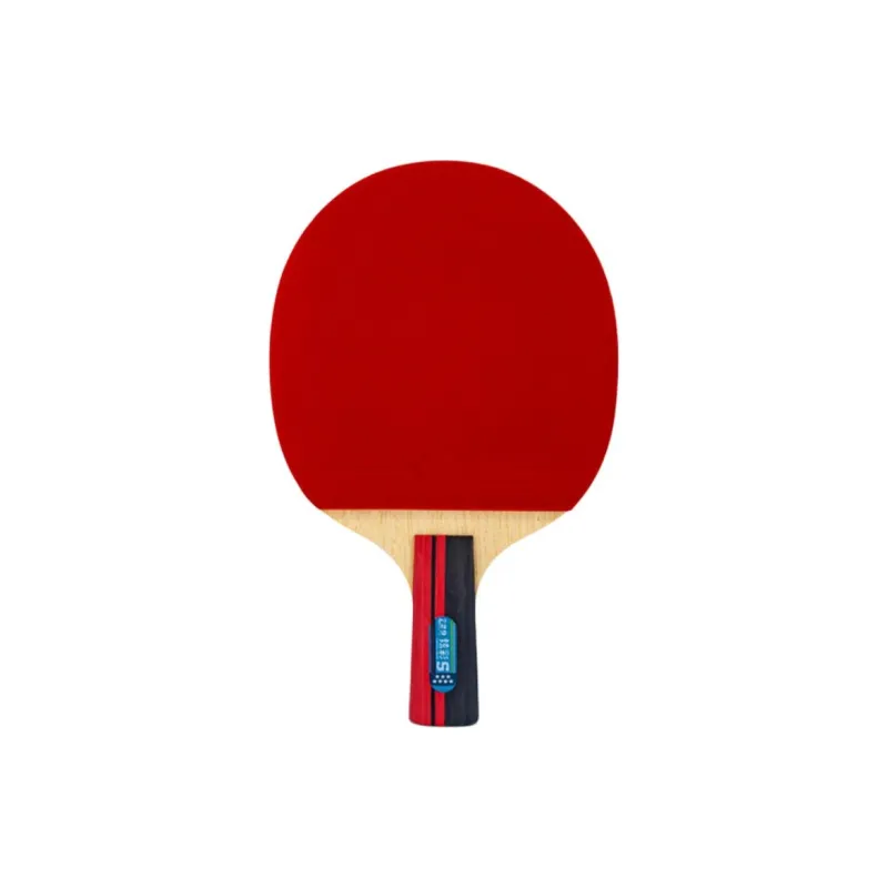 730 Ping Pong Paddles-0