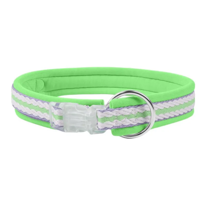 REnextop Dog / Cat Collars-4